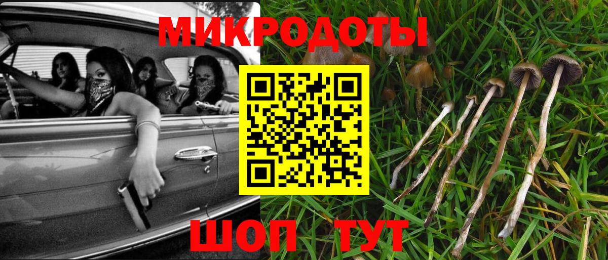 Дмитров  Галлюциногенные грибы Psilocybe  Вход с VPN 