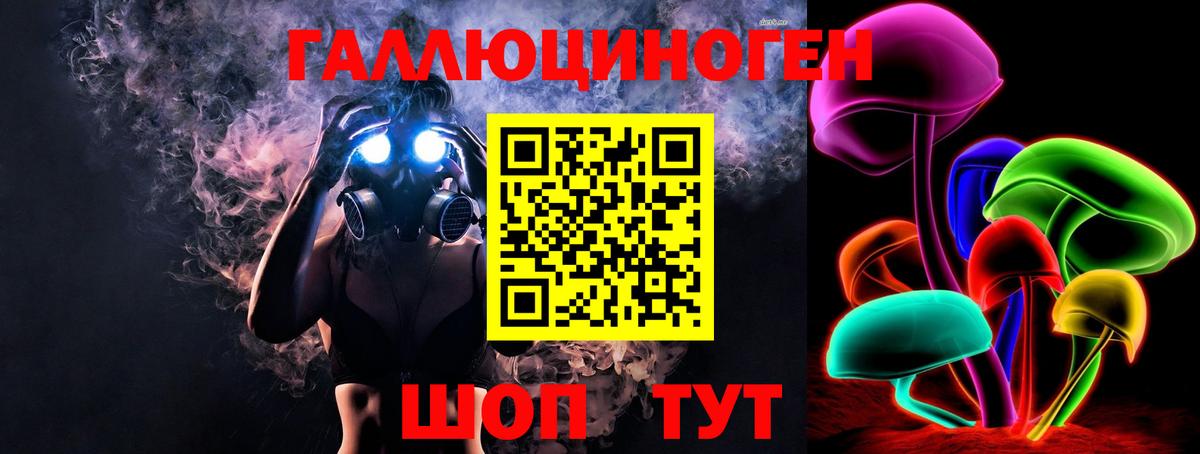 Галлюциногенные грибы Cubensis Дмитров